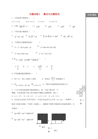 山东省龙口市兰高镇中考数学二轮复习 专题训练3 整式与分解因式 鲁教版试卷