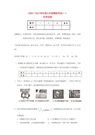 九年级化学模拟试卷(一)试卷