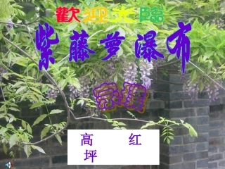 人教版七年级语文上册《紫藤罗瀑布》ppt课件