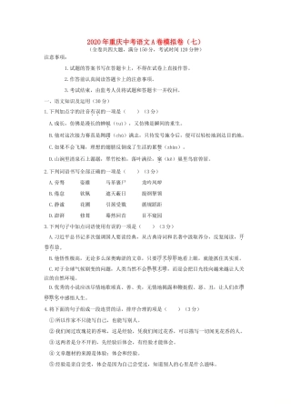 中考语文模拟卷(七) 试卷