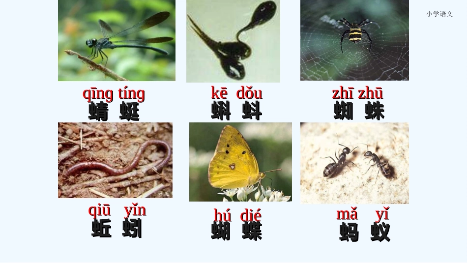 (部编)人教语文2011课标版一年级下册5《动物儿歌_第3页