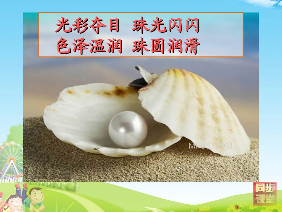 圆圆的沙粒第一课时课件_第2页
