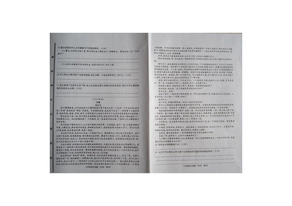 山东省枣庄市山亭区七年级语文下学期期末考试试卷新人教版试卷_第3页