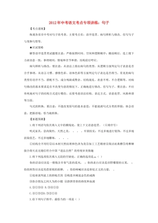 中考语文考点专项讲练 句子试卷