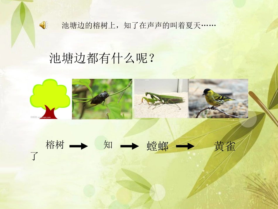 10小池塘大世界_第2页