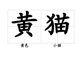 自己做的认字卡片