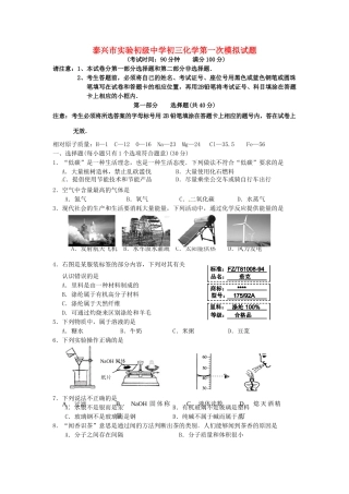 九年级化学第一次模拟试卷