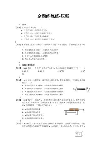 中考物理一轮复习 金题练练看2 压强(pdf)试卷