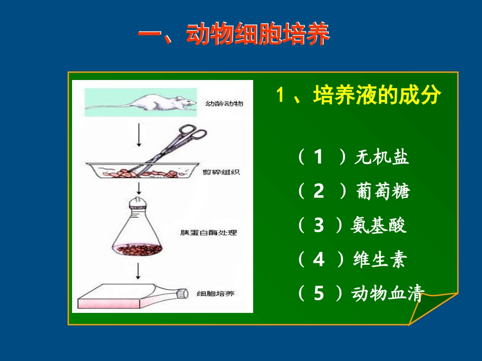 高中生物-动物细胞工程课件-新人教版选修3_第2页