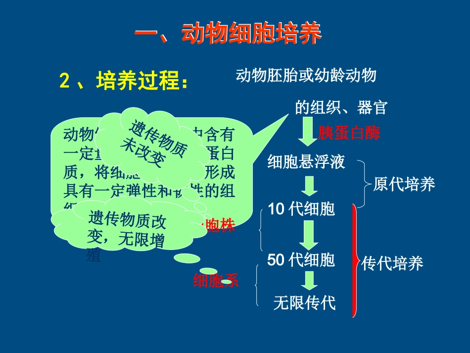 高中生物-动物细胞工程课件-新人教版选修3_第3页