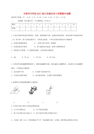 天津市宁河区届九年级化学上学期期中试卷