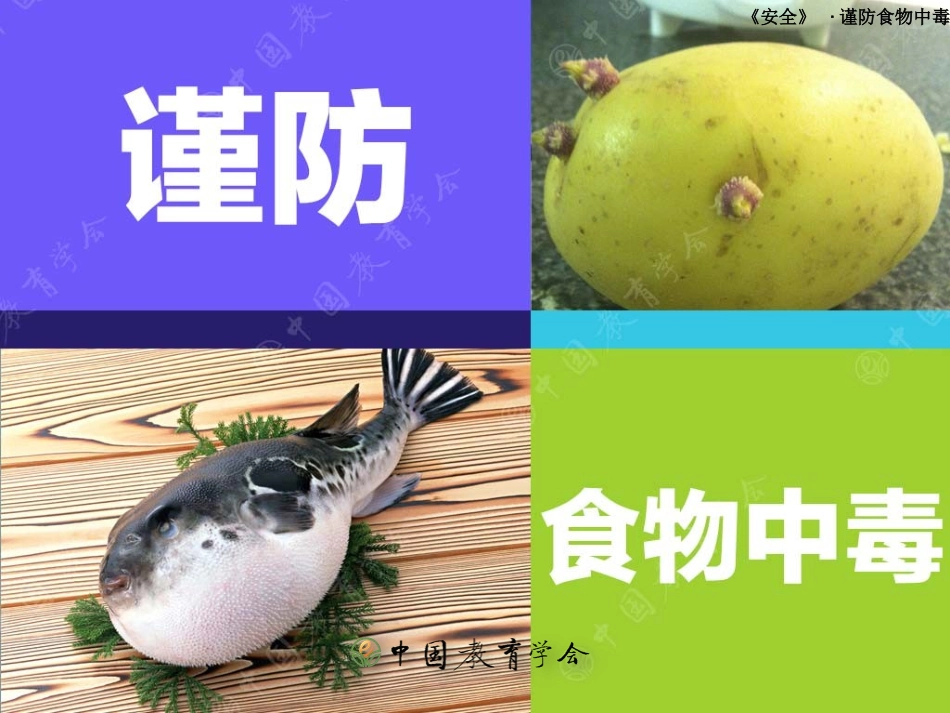 预防和应对社会暴力伤害事件的发生_第1页
