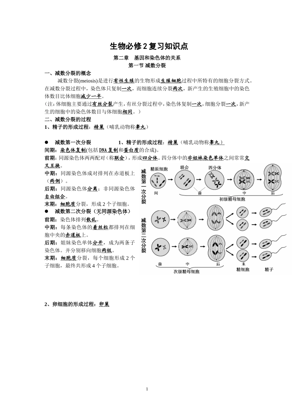 高中生物必修二知识点总结(精华版)_第1页