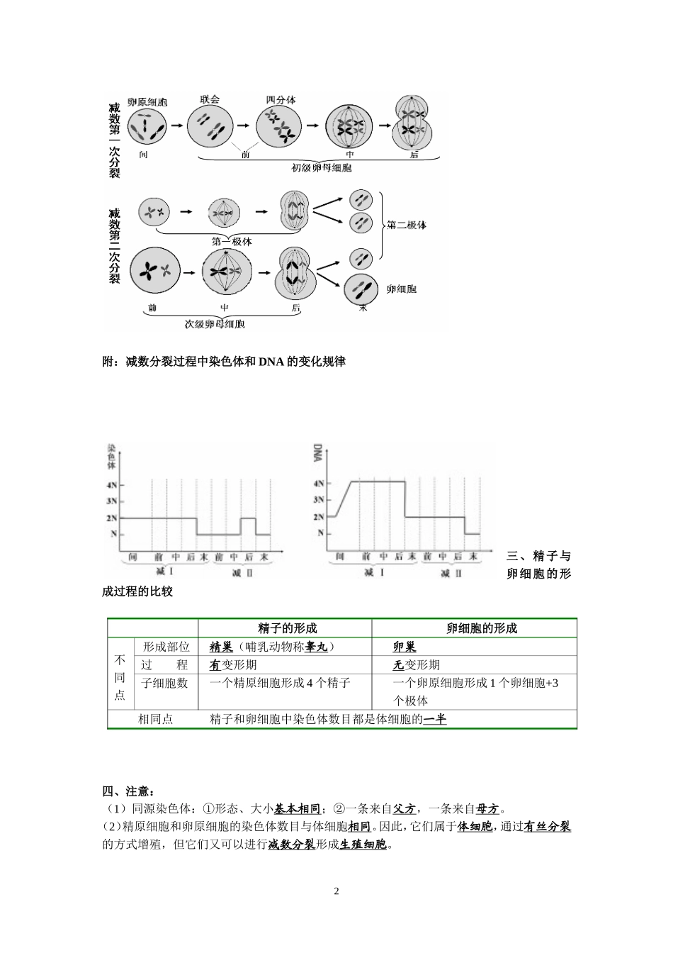 高中生物必修二知识点总结(精华版)_第2页