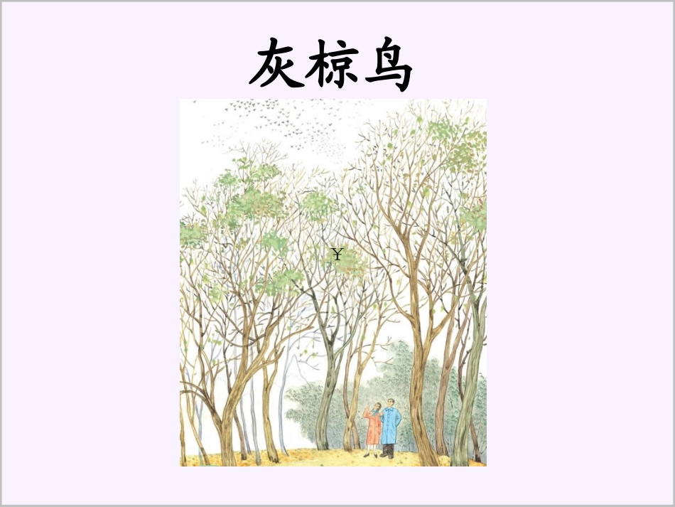 灰椋鸟第2课时_第1页