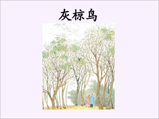 灰椋鸟第2课时