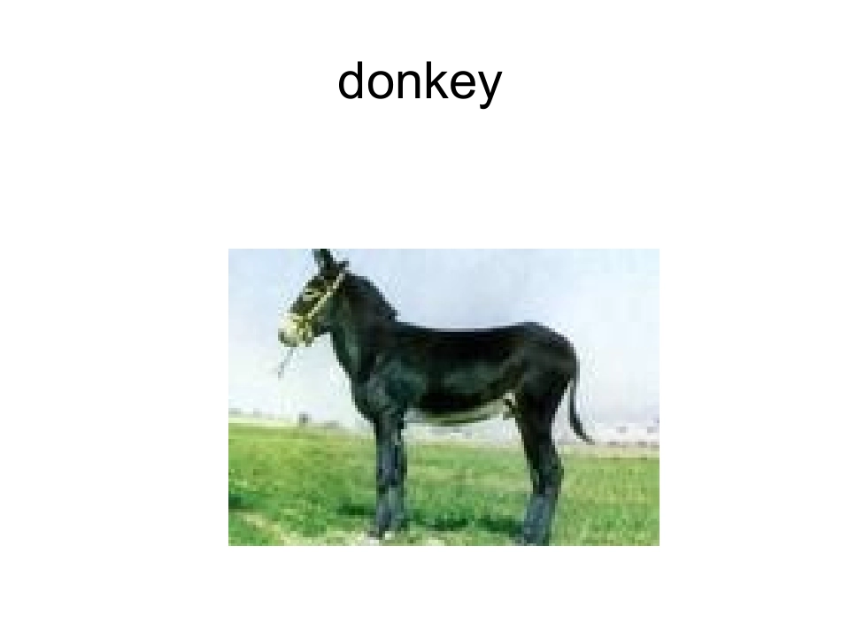 Unit3-(2)_第2页