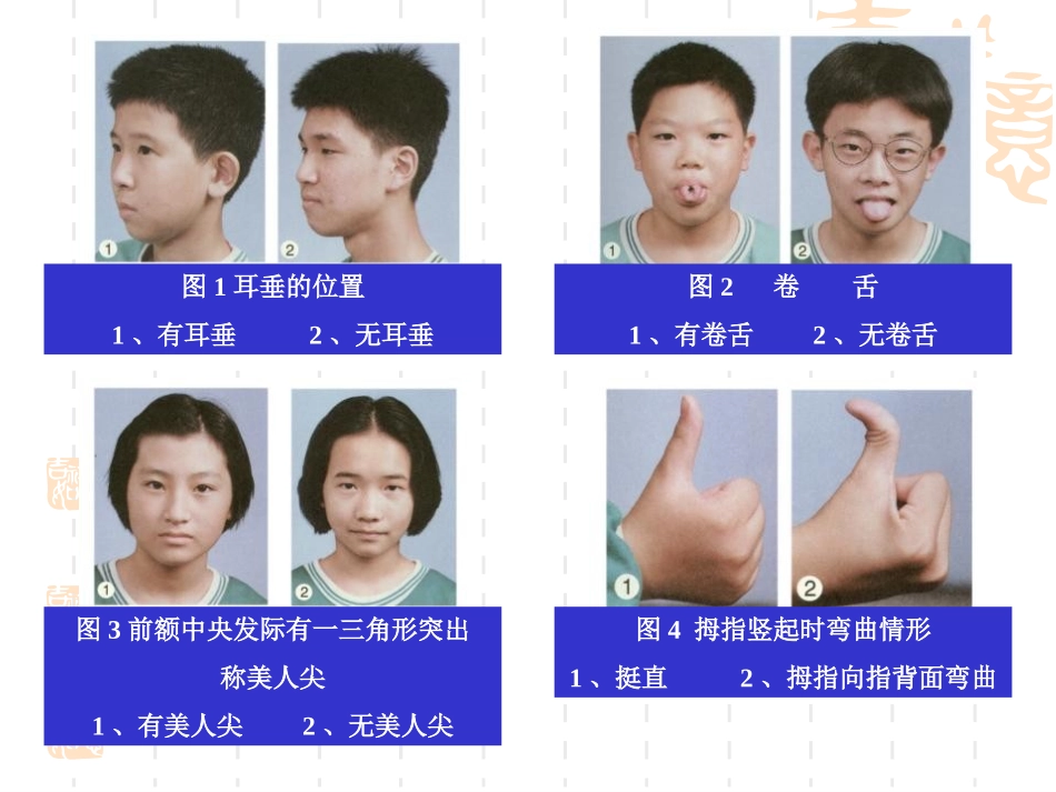 1.1孟德尔的豌豆杂交实验(一)_第1页