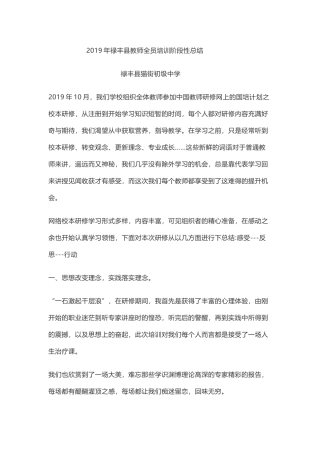 2019年禄丰县教师全员培训阶段性总结