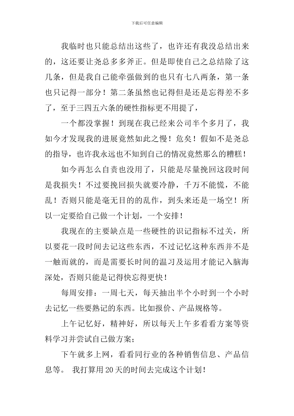 业务员工作计划书_第2页