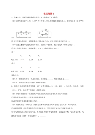 吉林省吉林市中考物理综合复习 电压规律3 新人教版试卷