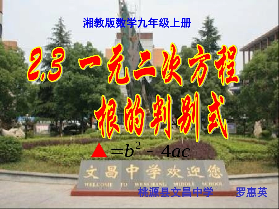 2.3一元二次方程根的判别式_第1页