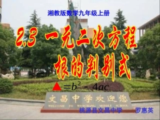 2.3一元二次方程根的判别式