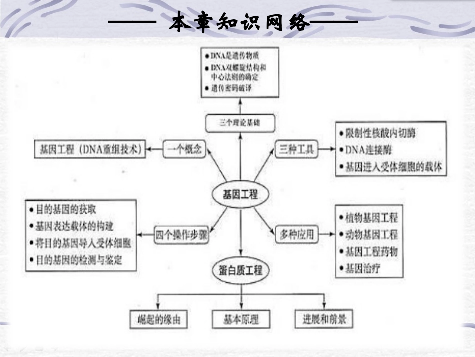 基因工程的发展历程_第2页