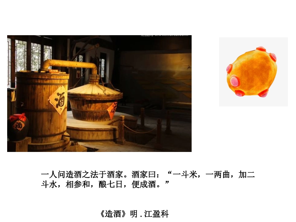 第四节细胞呼吸-(3)_第2页