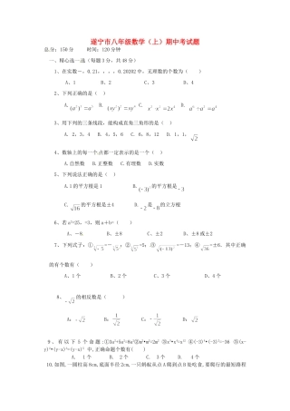四川省遂宁市八年级数学上学期期中试卷 新人教版试卷