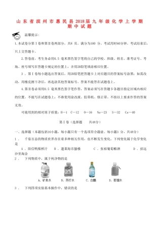 山东省滨州市惠民县九年级化学上学期期中试卷