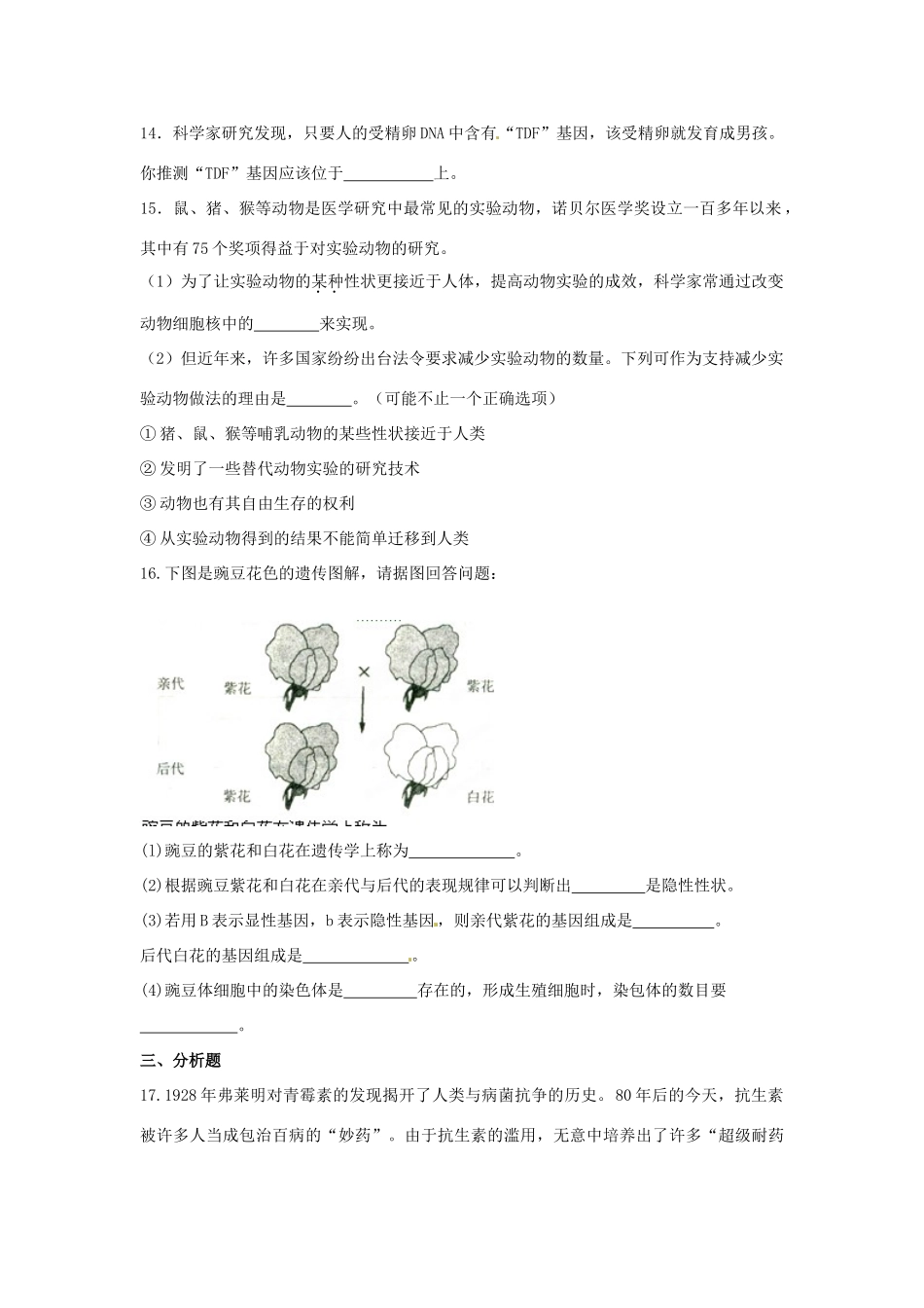 中考生物复习课外作业 第三讲 遗传和进化试卷_第3页