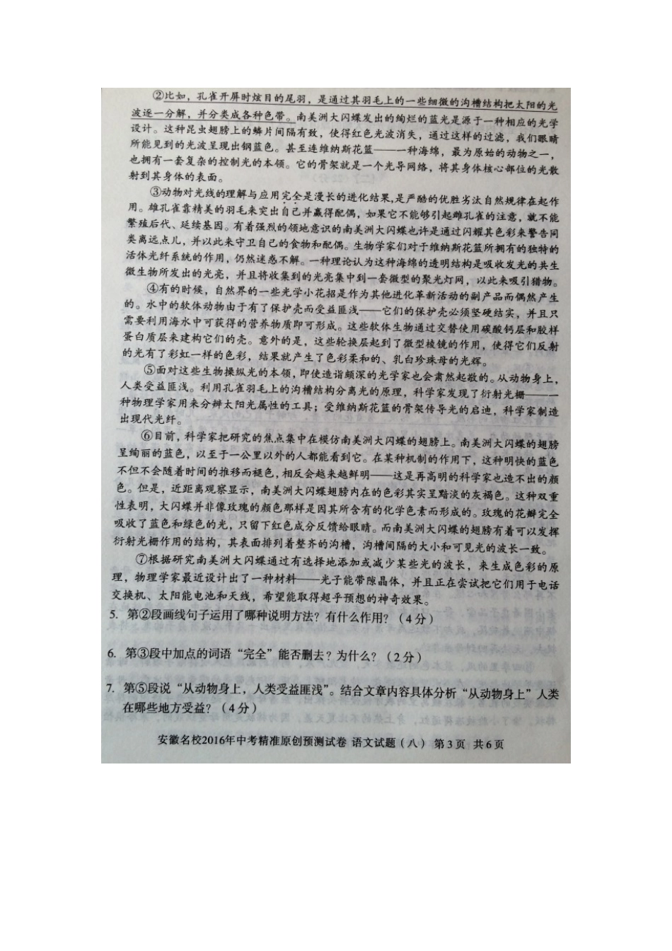 中考语文精准原创预测试卷(八)新人教版试卷_第3页