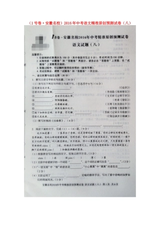 中考语文精准原创预测试卷(八)新人教版试卷