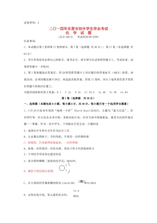 山东省东营市中考化学真题试卷(含答案)试卷