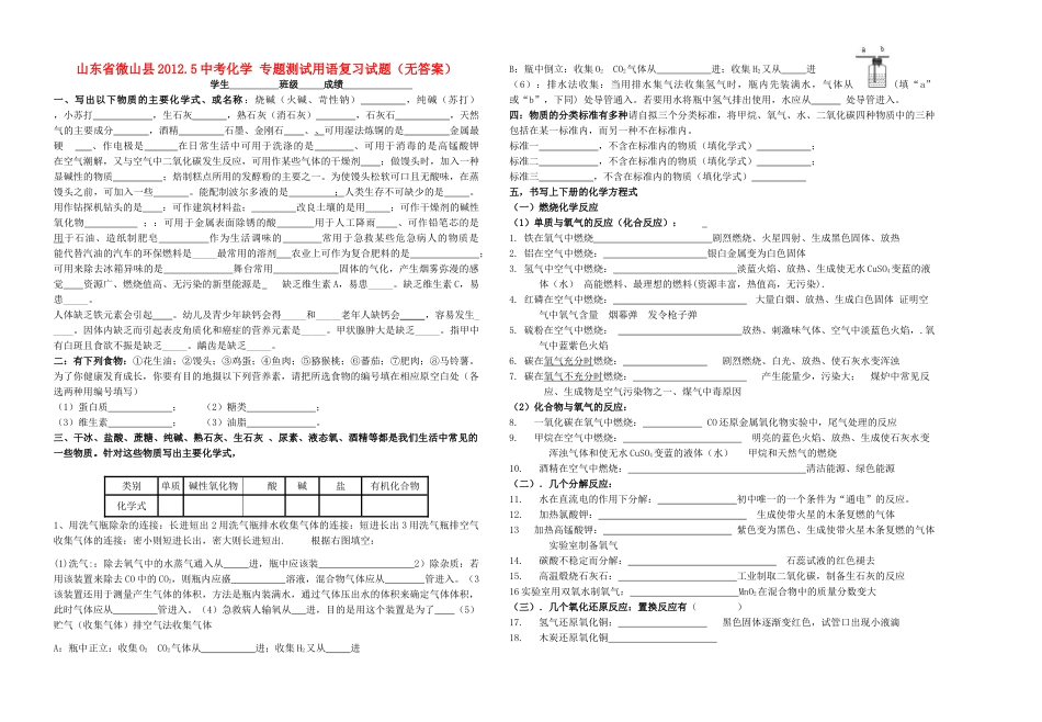山东省微山县5中考化学 专题测试用语复习试卷试卷_第1页