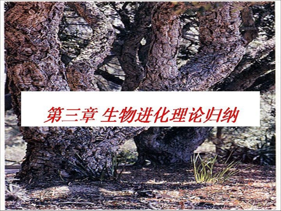 进化生物学3章生物进化理论归纳_第1页
