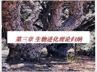 进化生物学3章生物进化理论归纳