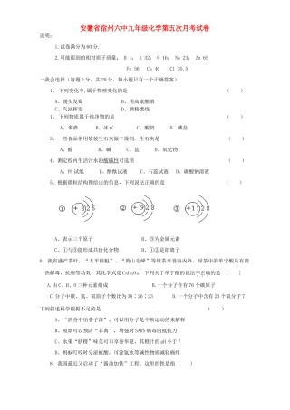 九年级化学第五次月考试卷 沪教版试卷