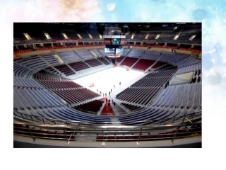 1000以内数的认识