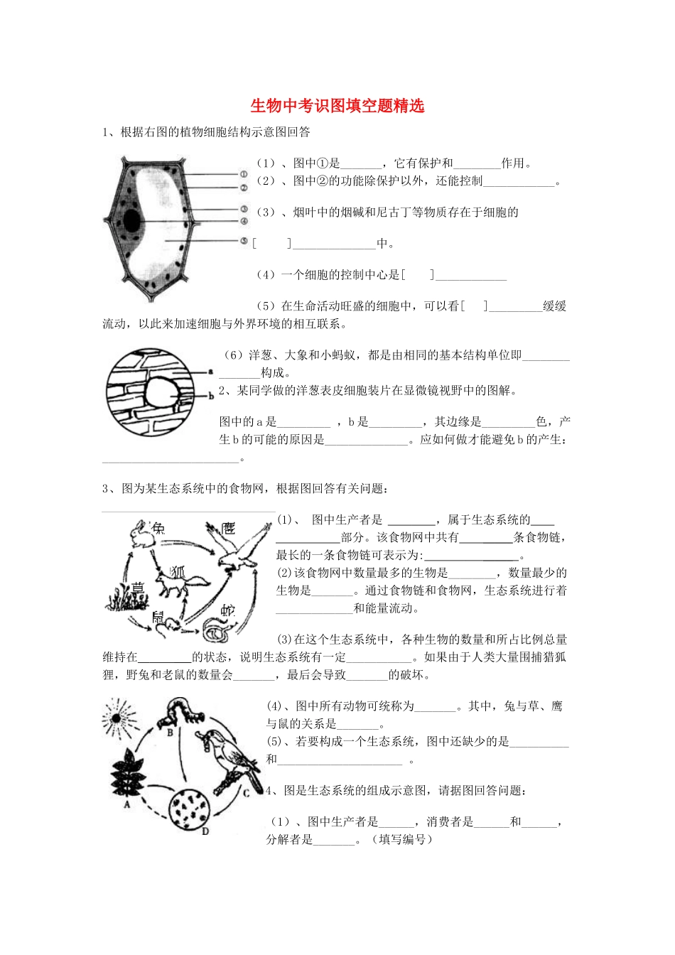 中考生物 识图填空题精选 人教新课标版试卷_第1页