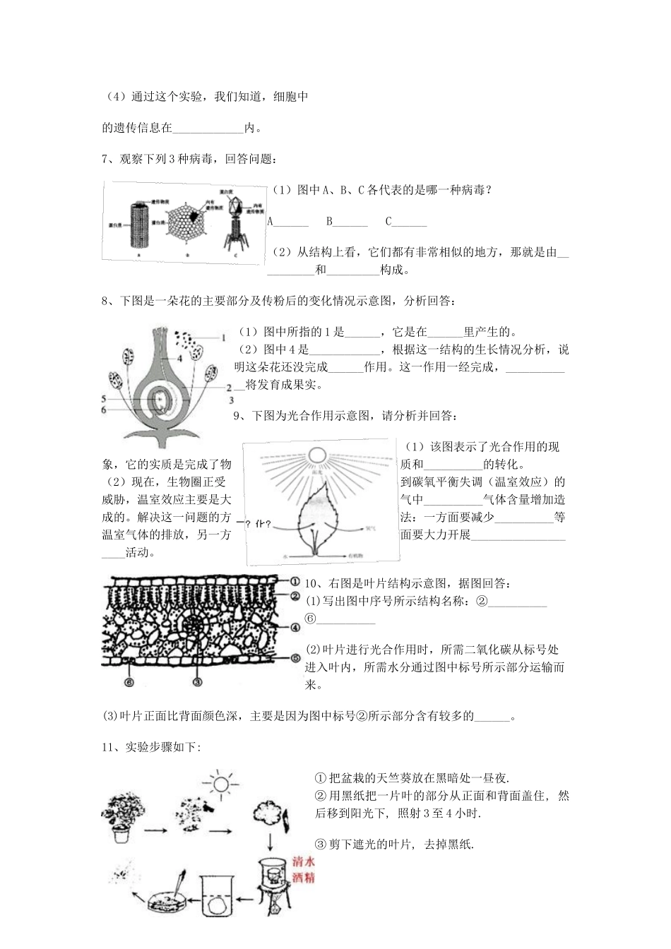 中考生物 识图填空题精选 人教新课标版试卷_第3页