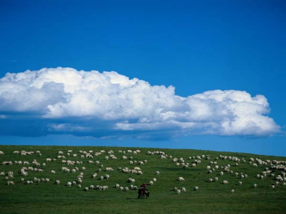 zhang草原的早晨2_第2页