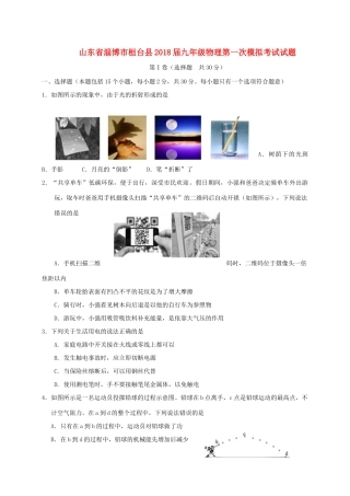 山东省淄博市桓台县九年级物理第一次模拟考试试卷
