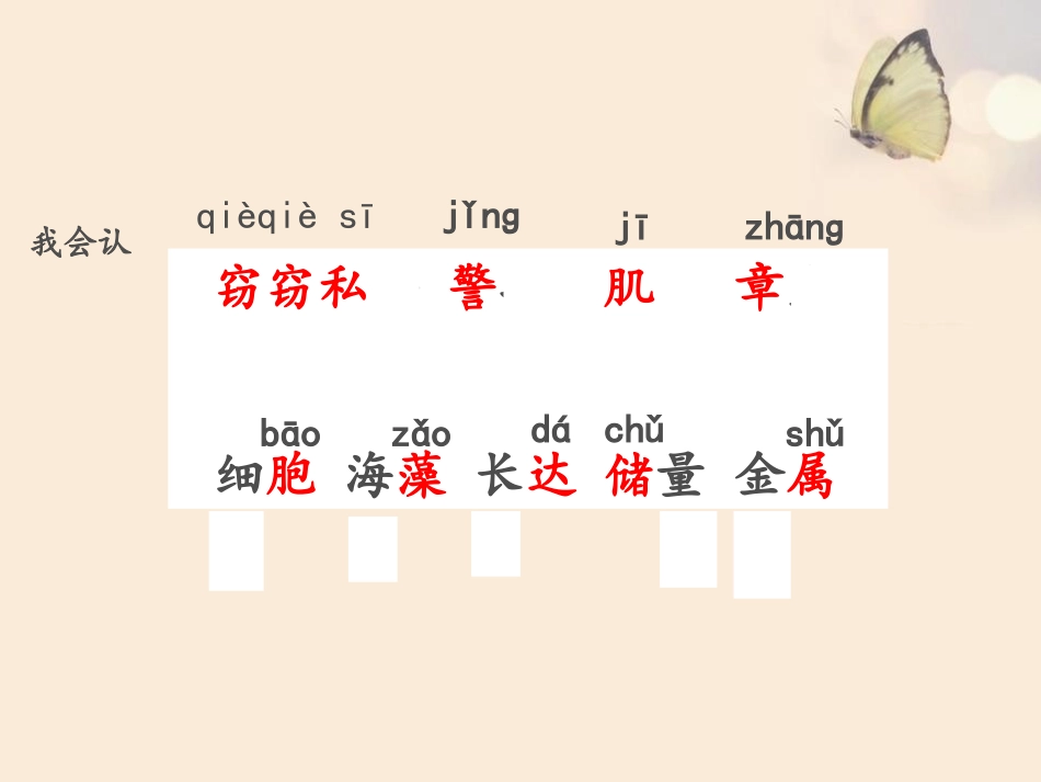 23海底世界_第3页