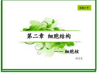 第四节细胞核-(2)