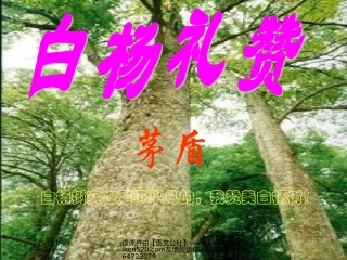 《白杨礼赞》ppt课件