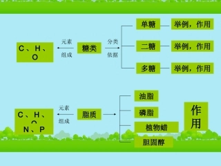 高中生物《有机化合物与生物大分子》课件1-浙科版必修1