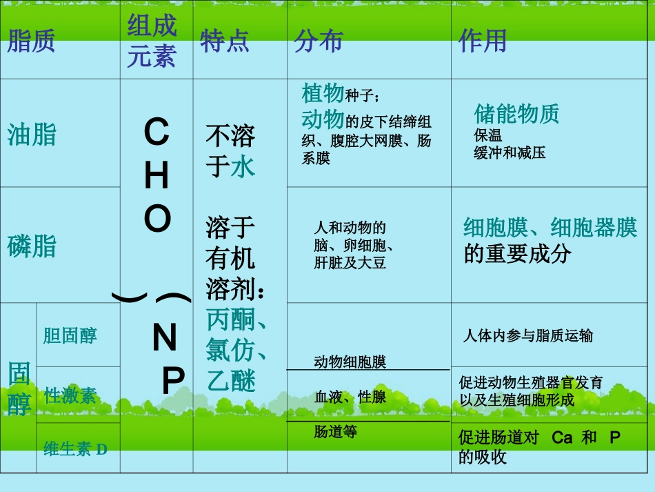 高中生物《有机化合物与生物大分子》课件14-浙科版必修1_第2页