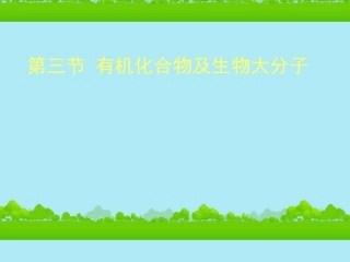 高中生物《有机化合物与生物大分子》课件14-浙科版必修1